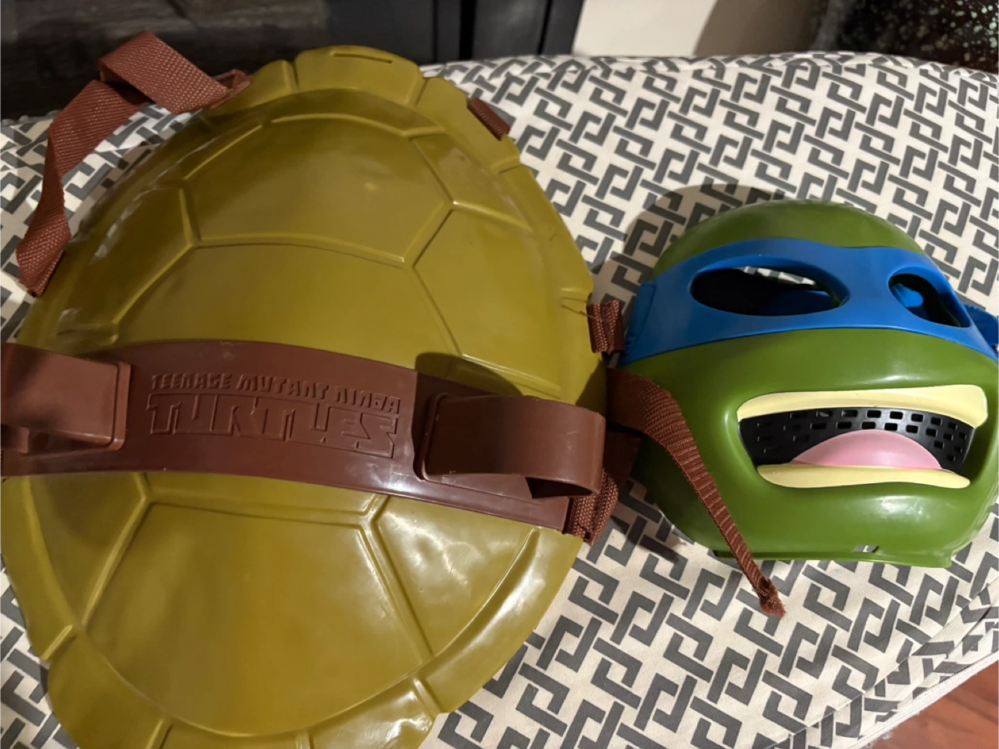 Teenage Mutant Ninja Turtles Halloween Costume - photo 3