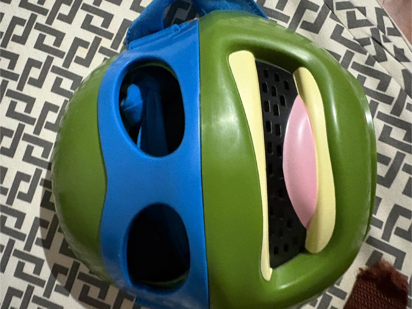 Teenage Mutant Ninja Turtles Halloween Costume