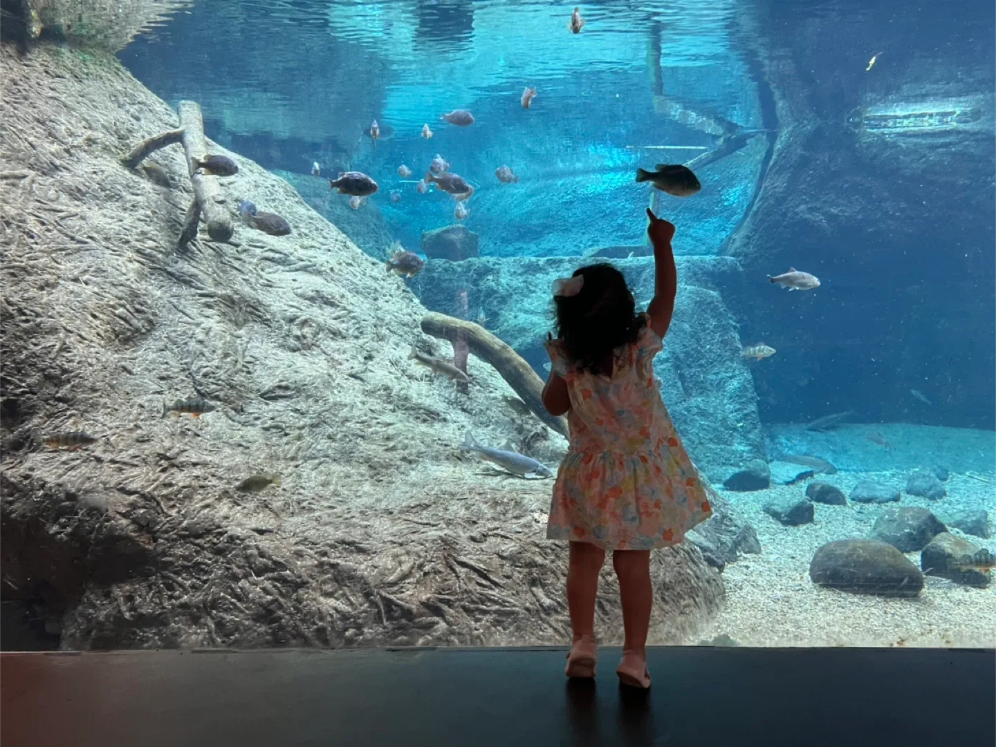 Toddler Girl's Dress - Size 90 image indicator(4)