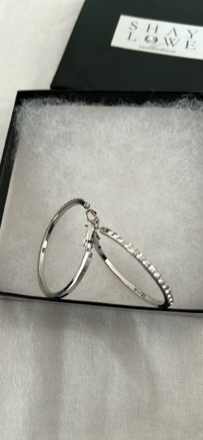 Shay Lowe Silver Hoop Earrings BN IN BOX - photo 2