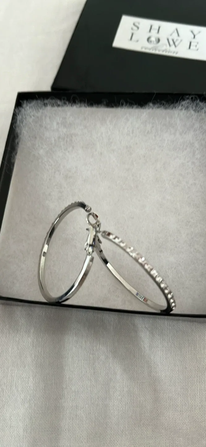 🥕Shay Lowe Silver Hoop Earrings BN IN BOX image indicator(2)