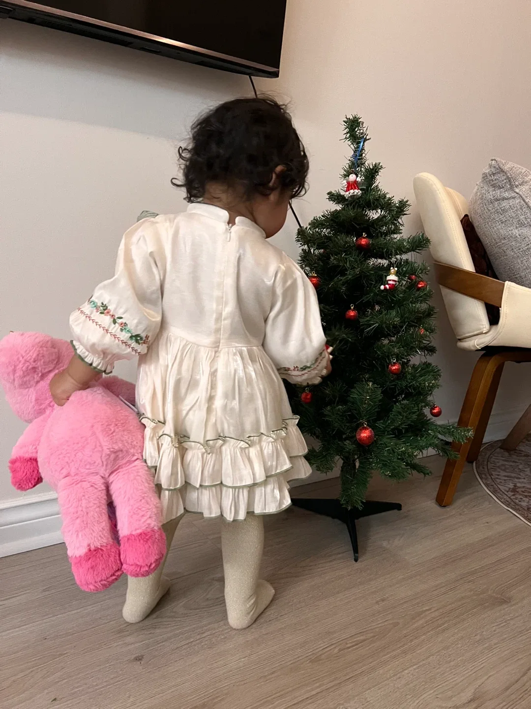 Embroidered Girl's Dress - 18-24m image indicator(4)