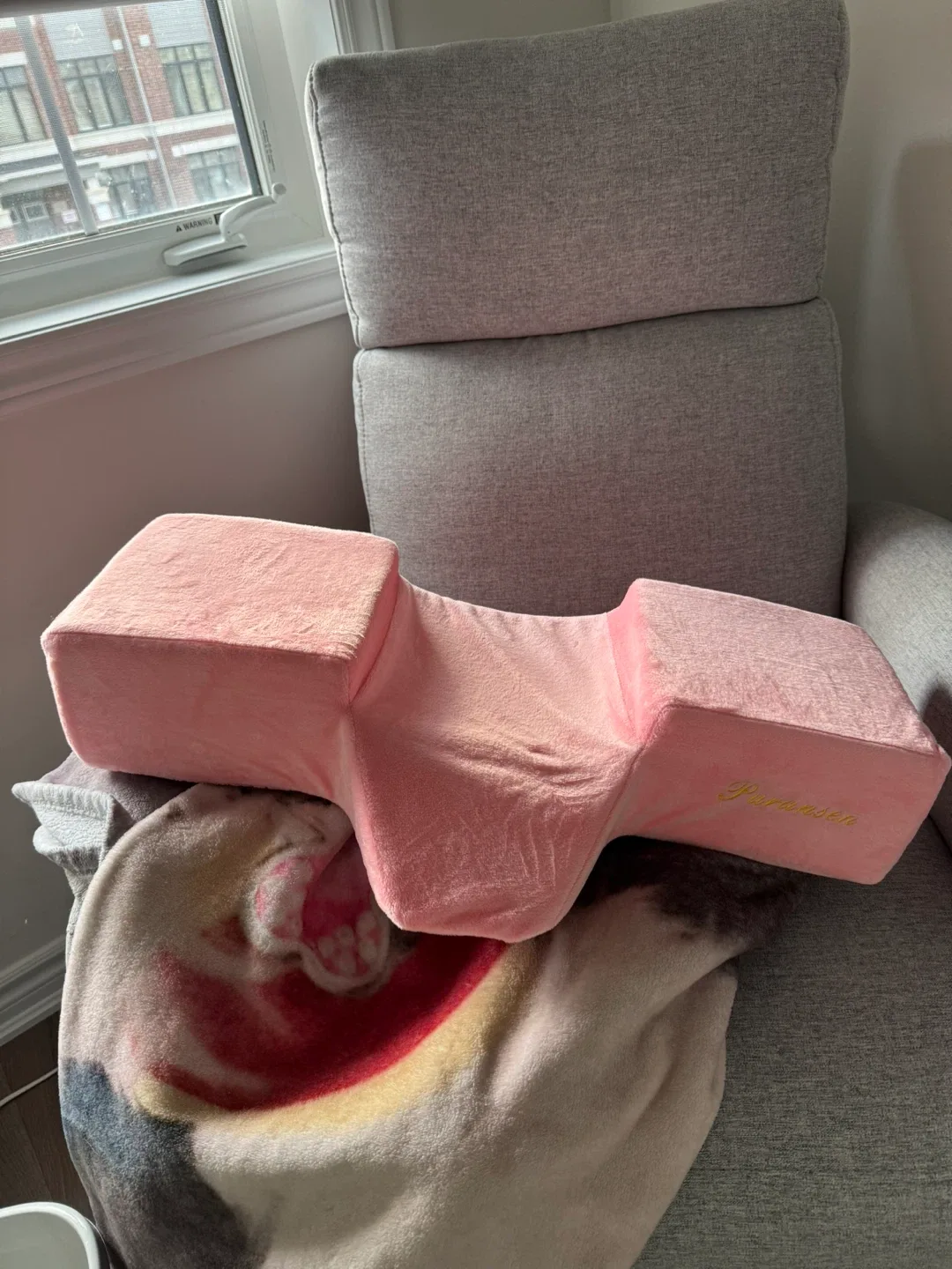 Puransens Pink lash Pillow thumbnail