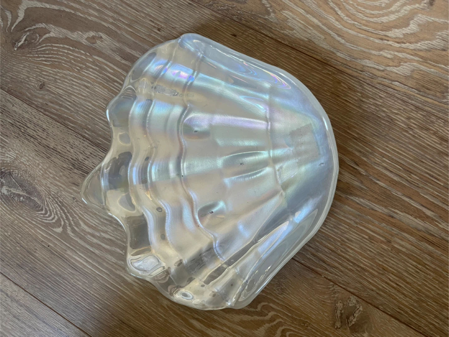 🥕 Decorative iridescent seashell bowl