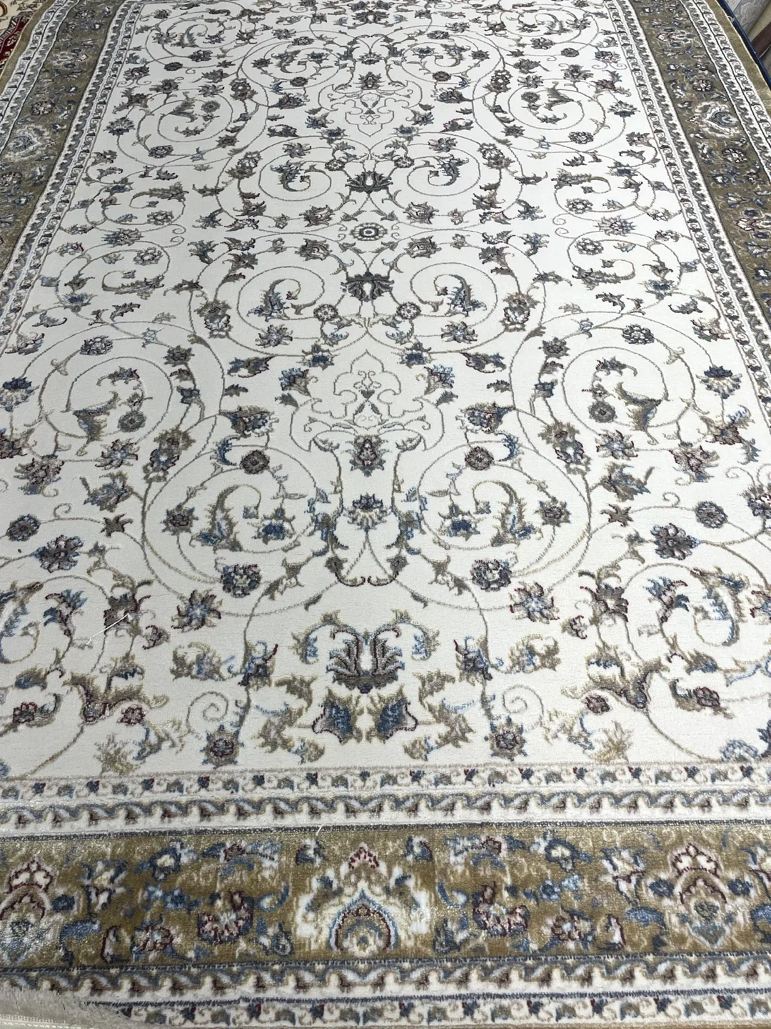 Floral Area Rug 8x5 ft for 200 only image indicator(10)