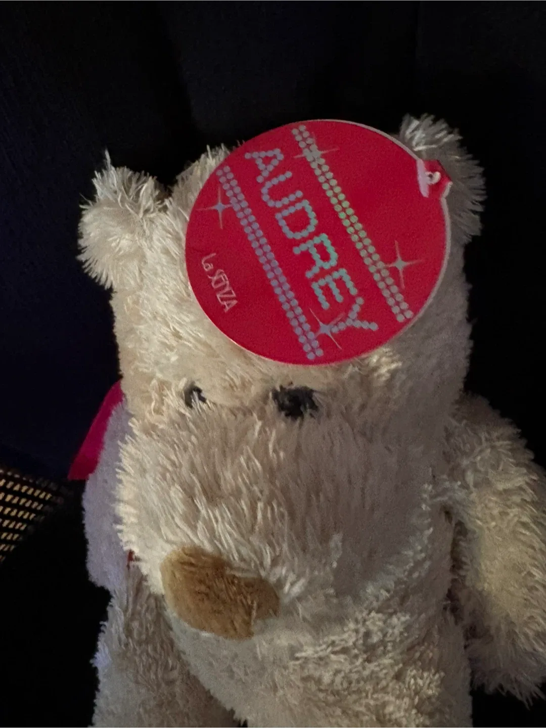 Audrey La Senza Teddy Bear image indicator(3)