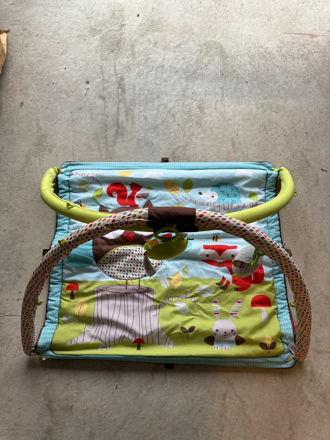 Skip Hop Play Gym thumbnail