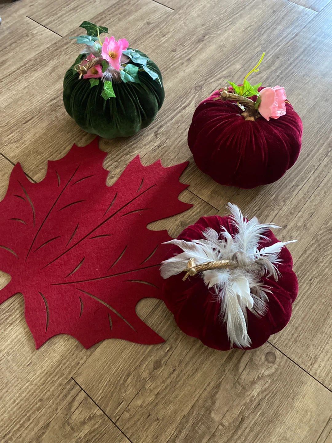 Free - velvet pumpkins 🥕