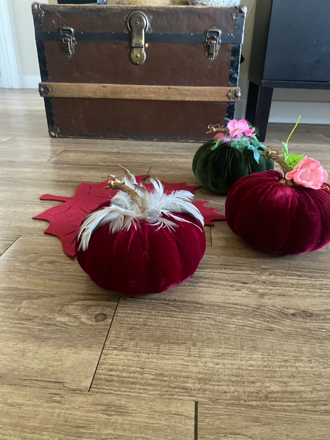 Free - velvet pumpkins 🥕 - photo 2