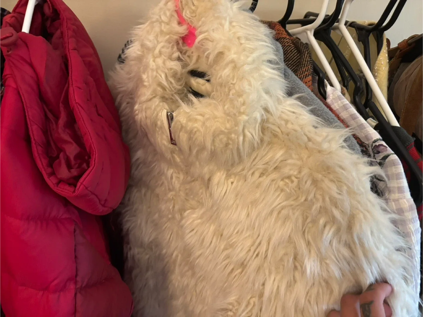 Assorted Used Clothing image indicator(3)