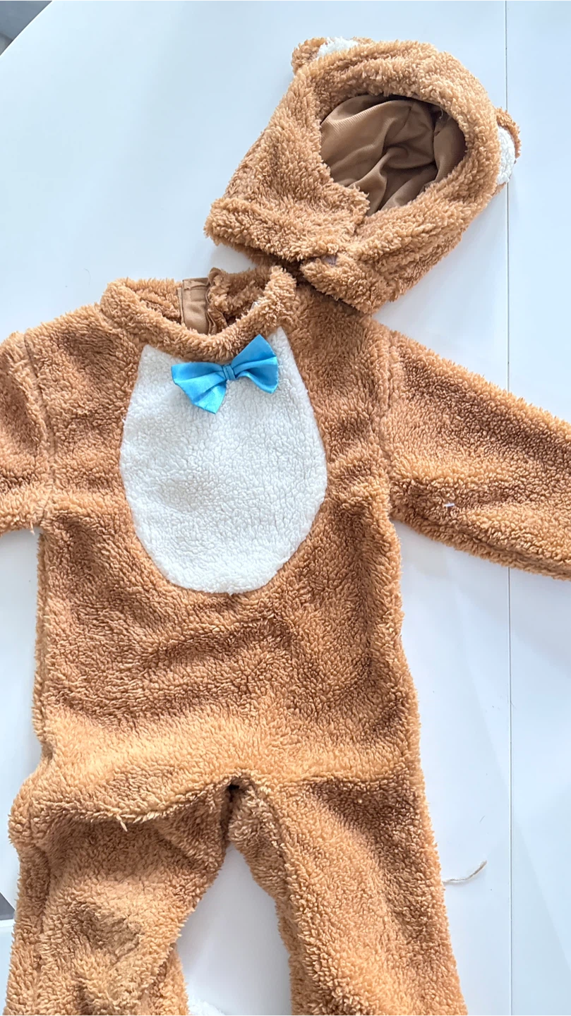 Cute Bear Costume with Hood