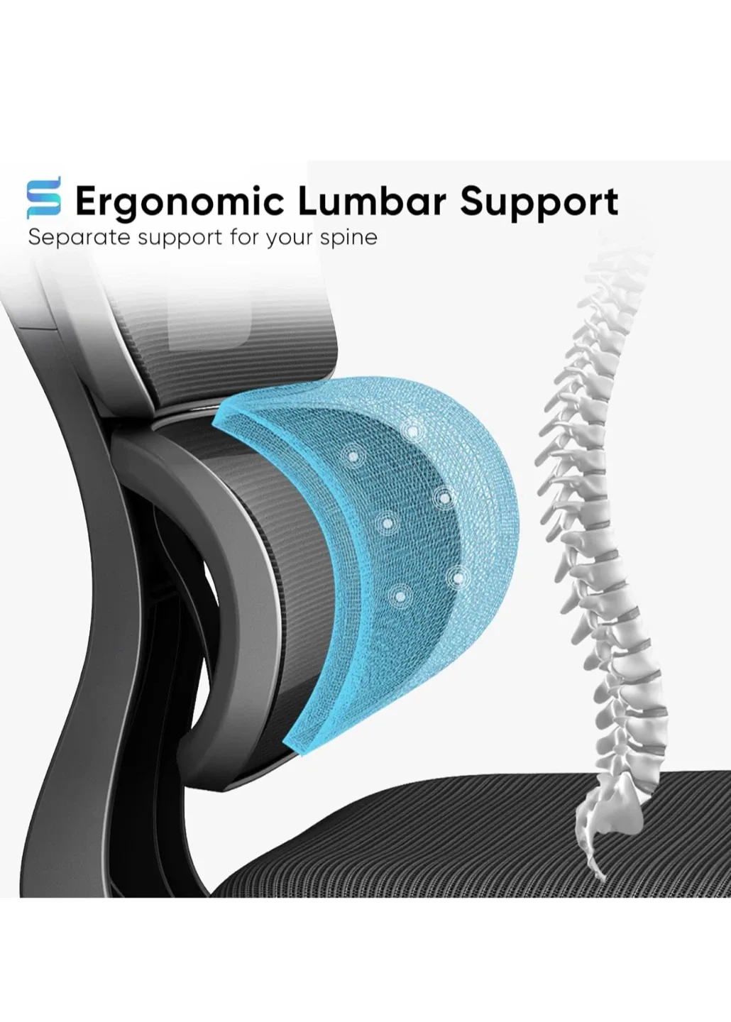 SYTAS Ergonomic Office Chair image indicator(3)