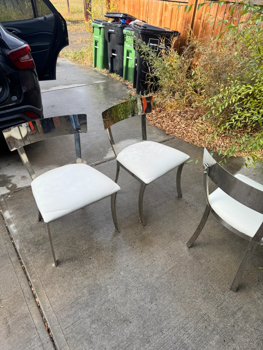 Dining Chairs