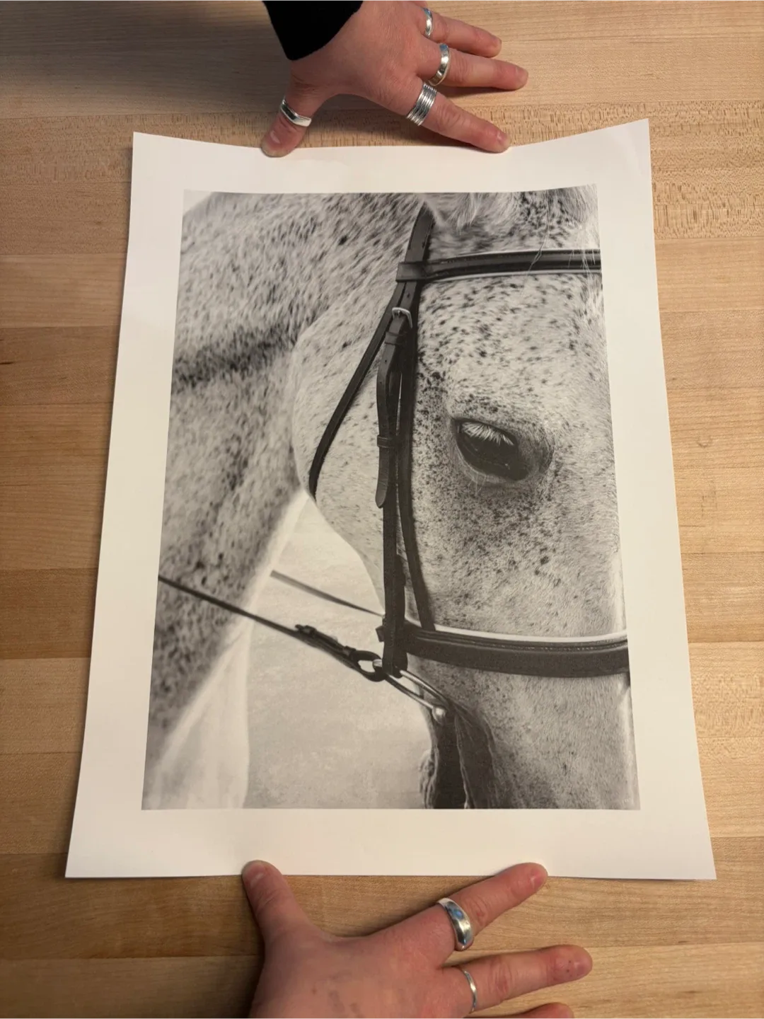 Horse Print thumbnail