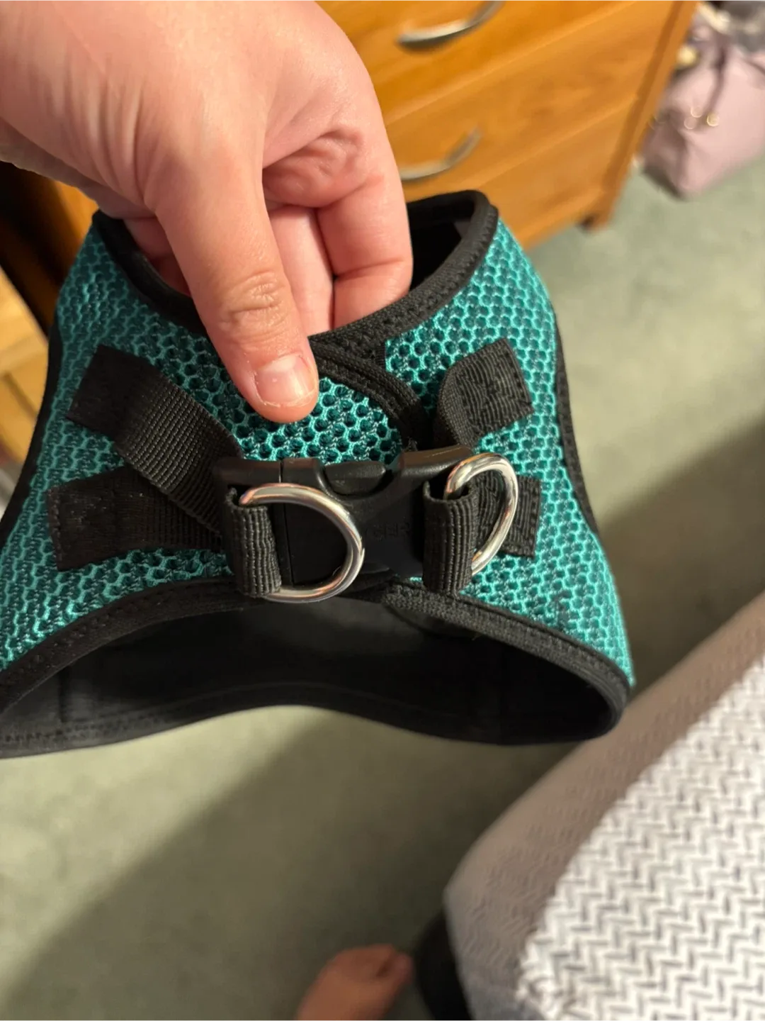 Voyager Dog Harness - Size M image indicator(3)