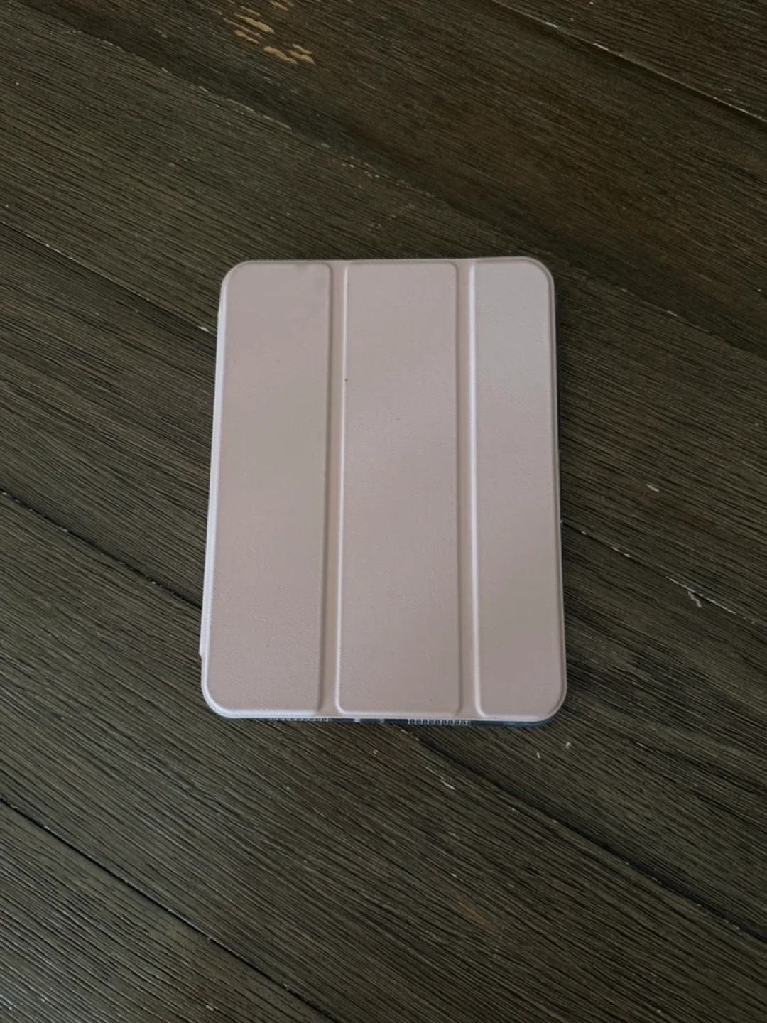 Apple iPad mini with Case image indicator(2)