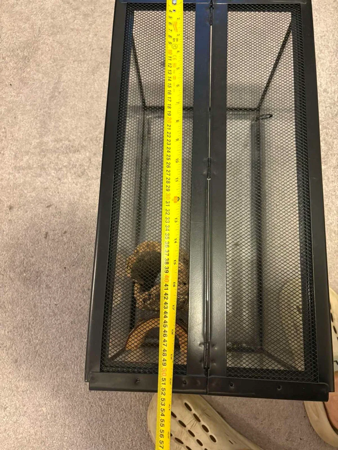 🐍 Small Reptile / Fish Tank with Mesh Lid 🐢 image indicator(5)