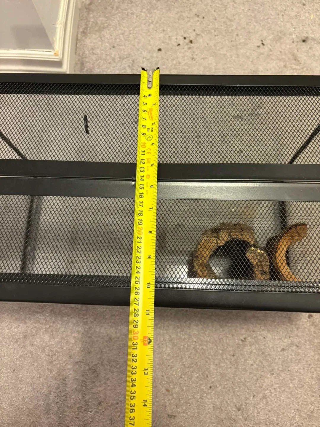 🐍 Small Reptile / Fish Tank with Mesh Lid 🐢 image indicator(7)