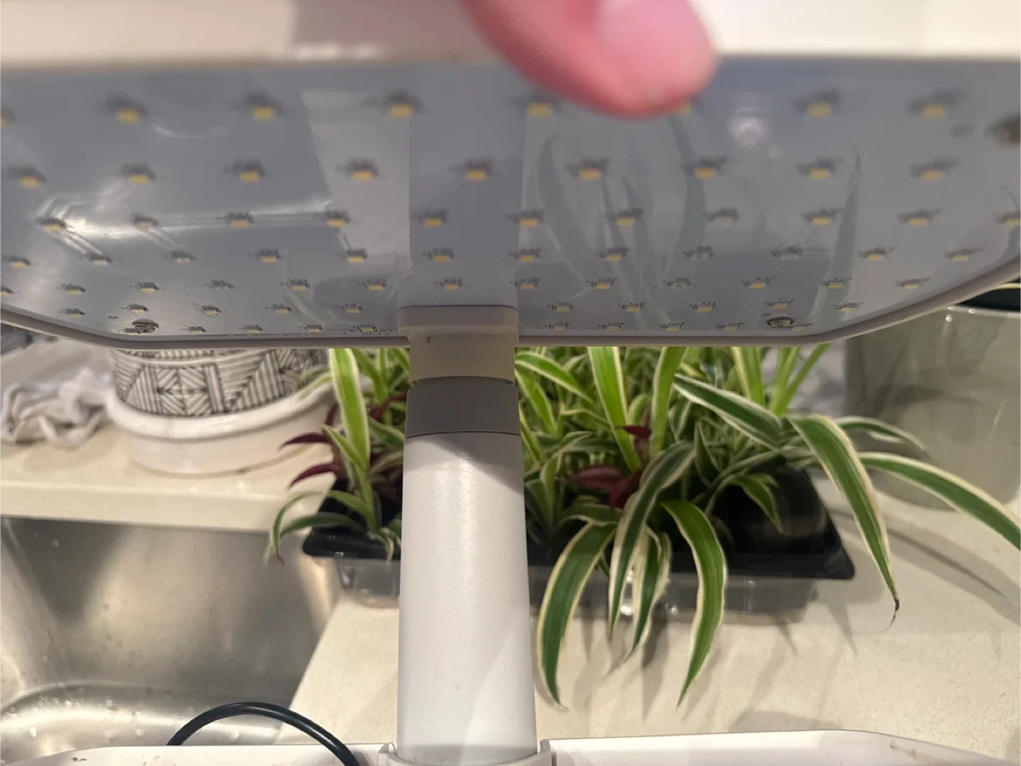 AeroGarden Indoor Garden System image indicator(3)