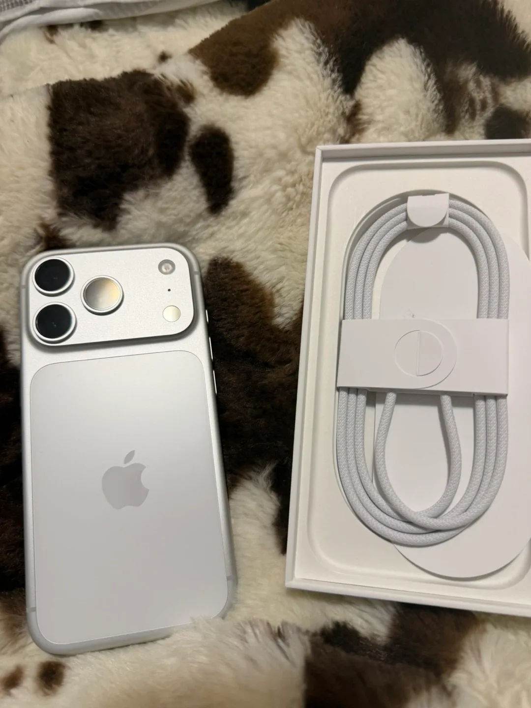 New Apple iPhone 17 Pro Silver image indicator(3)