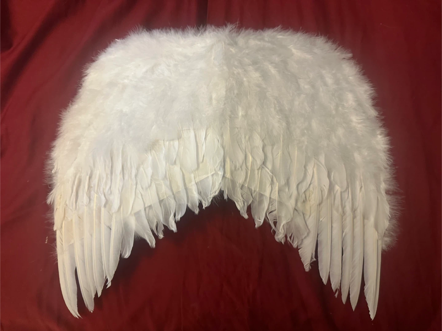 🥕 White Wings - Halloween - photo 2