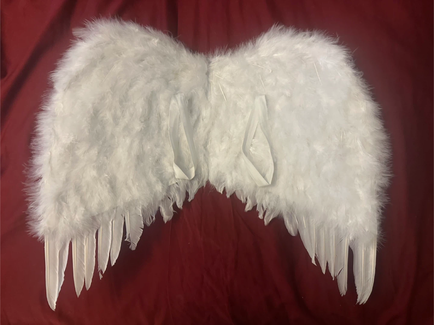 🥕 White Wings - Halloween