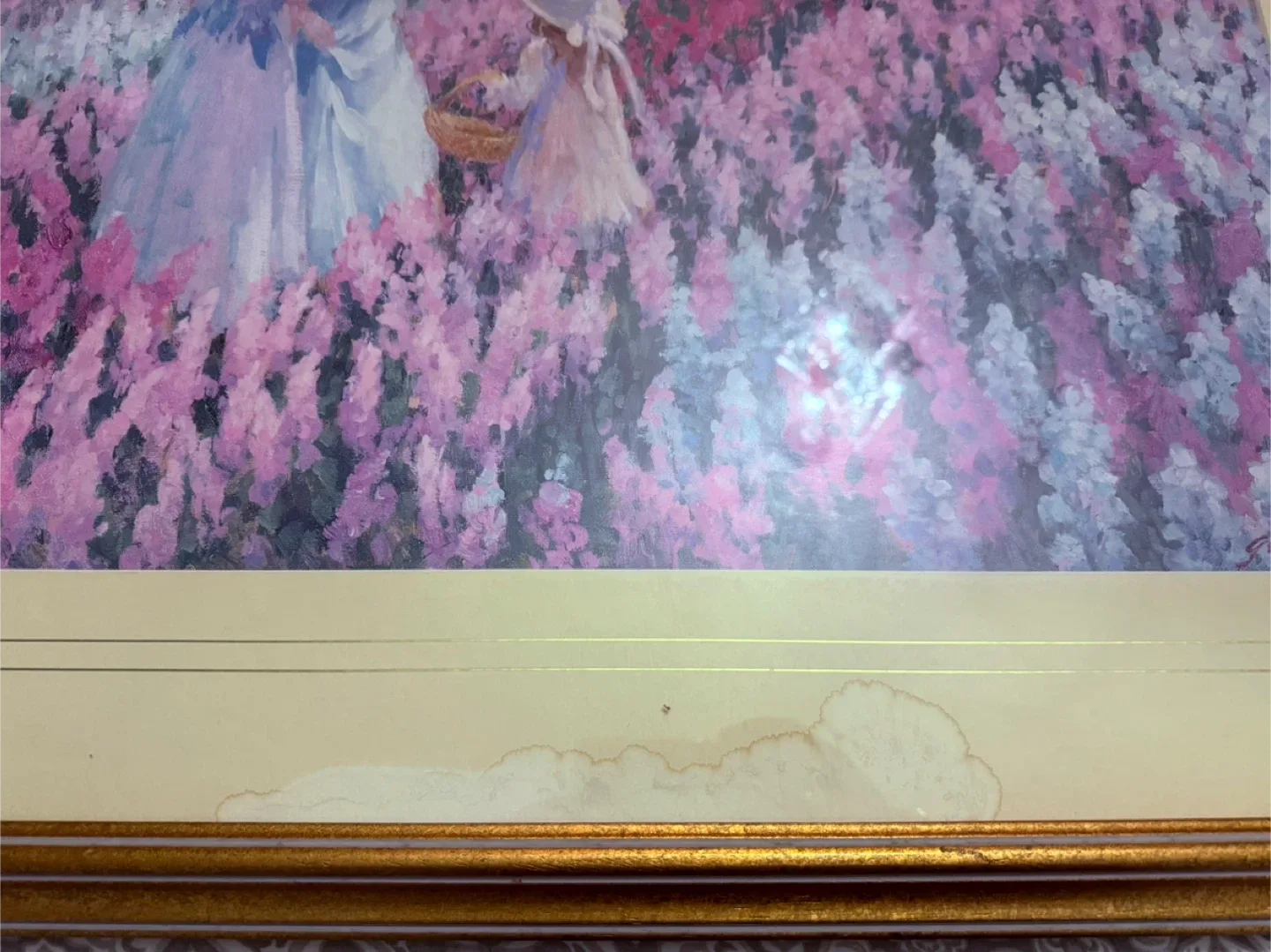 Lynn Gertenbach Framed Print image indicator(4)