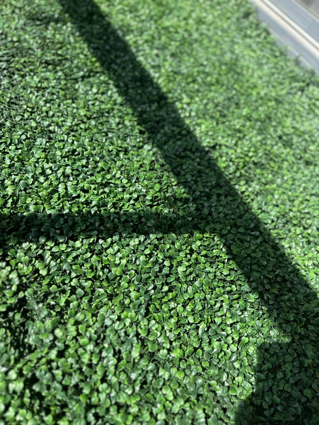 Artificial Hedge Plant Wall Panels image indicator(4)