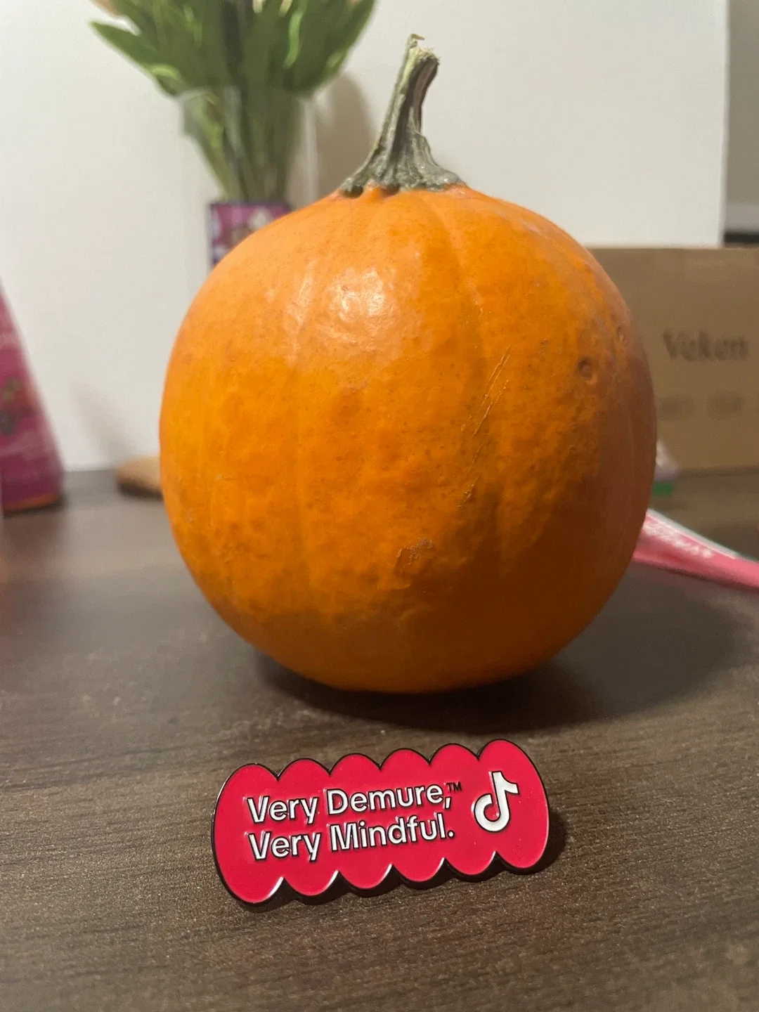 TikTok Very Demure, Very Mindful Pin image indicator(2)