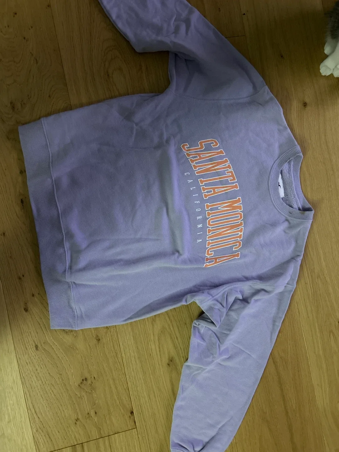 Hollister Santa Monica Sweatshirt - XS