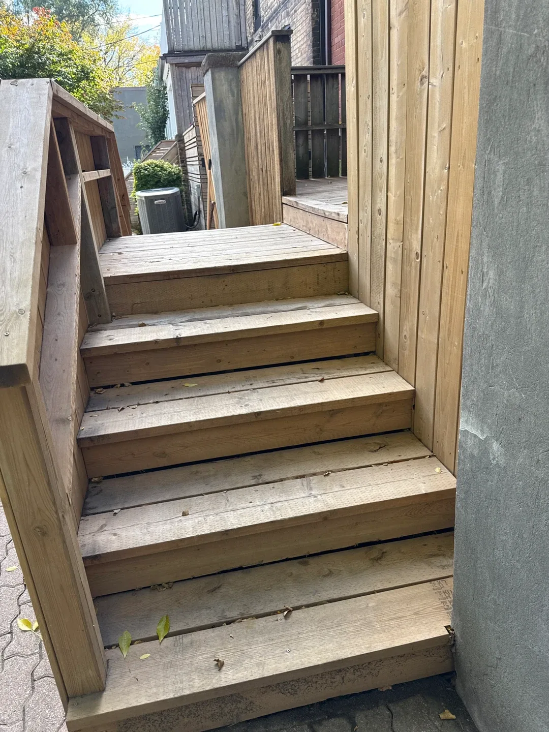 Looking for a nice yard cleanup? image indicator(2)