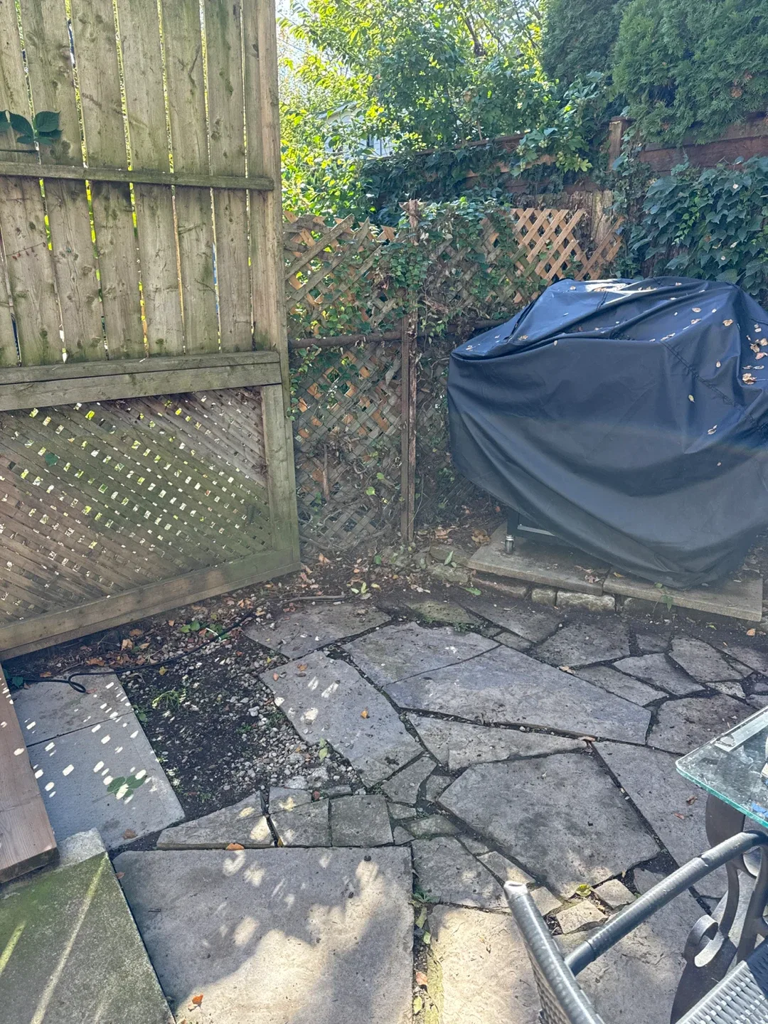 Looking for a nice yard cleanup? image indicator(5)