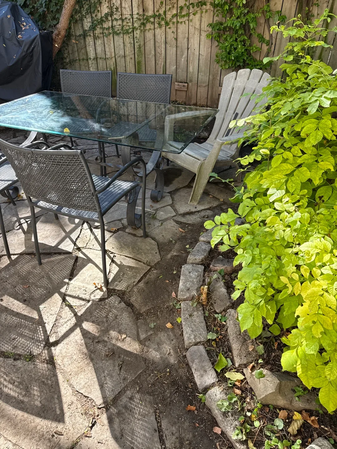 Looking for a nice yard cleanup? image indicator(4)