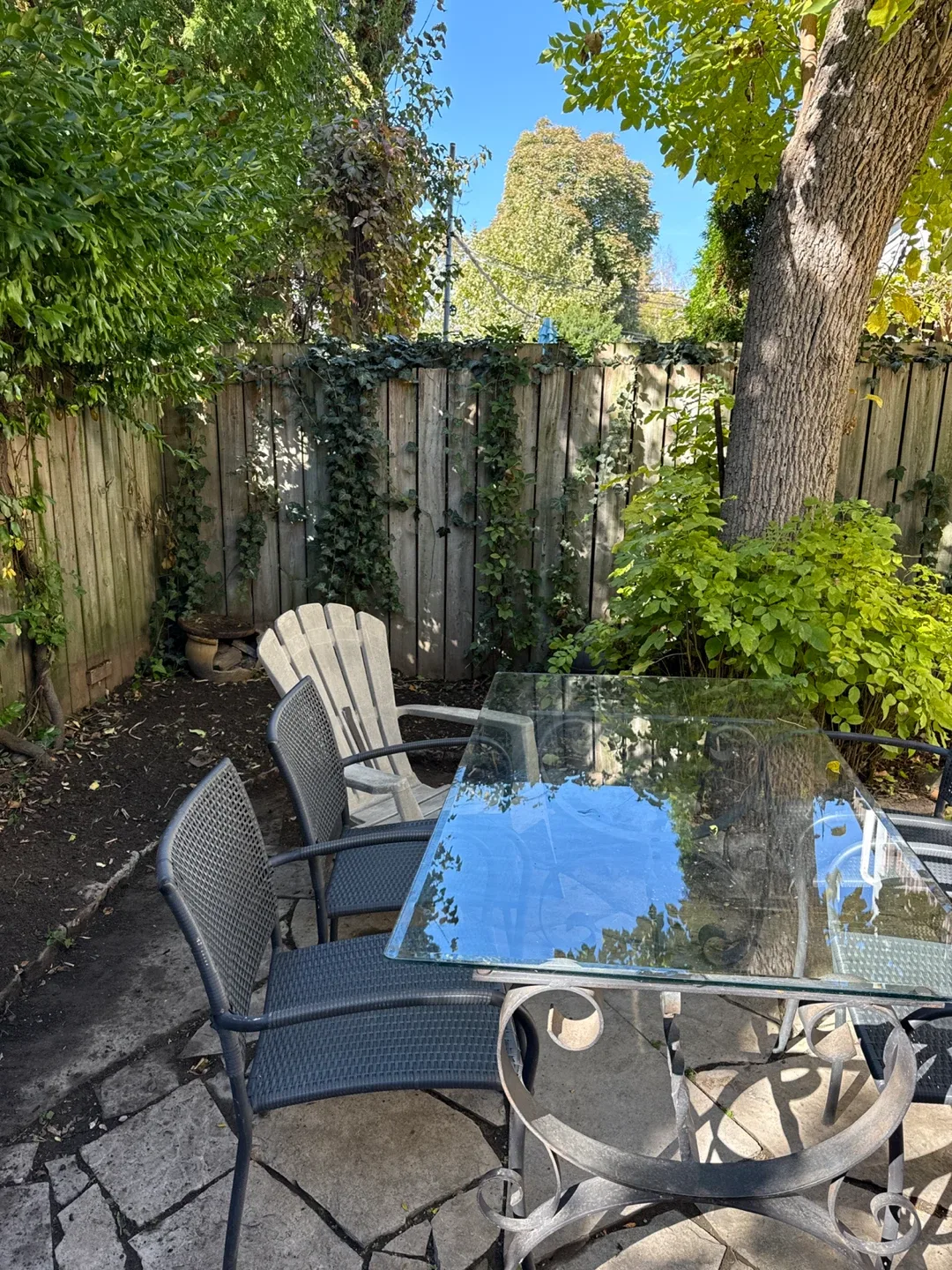 Looking for a nice yard cleanup? image indicator(6)