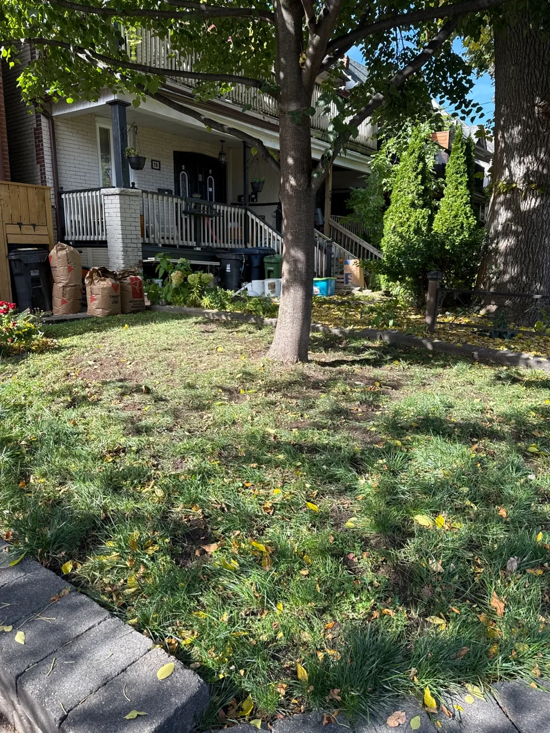 Looking for a nice yard cleanup? thumbnail