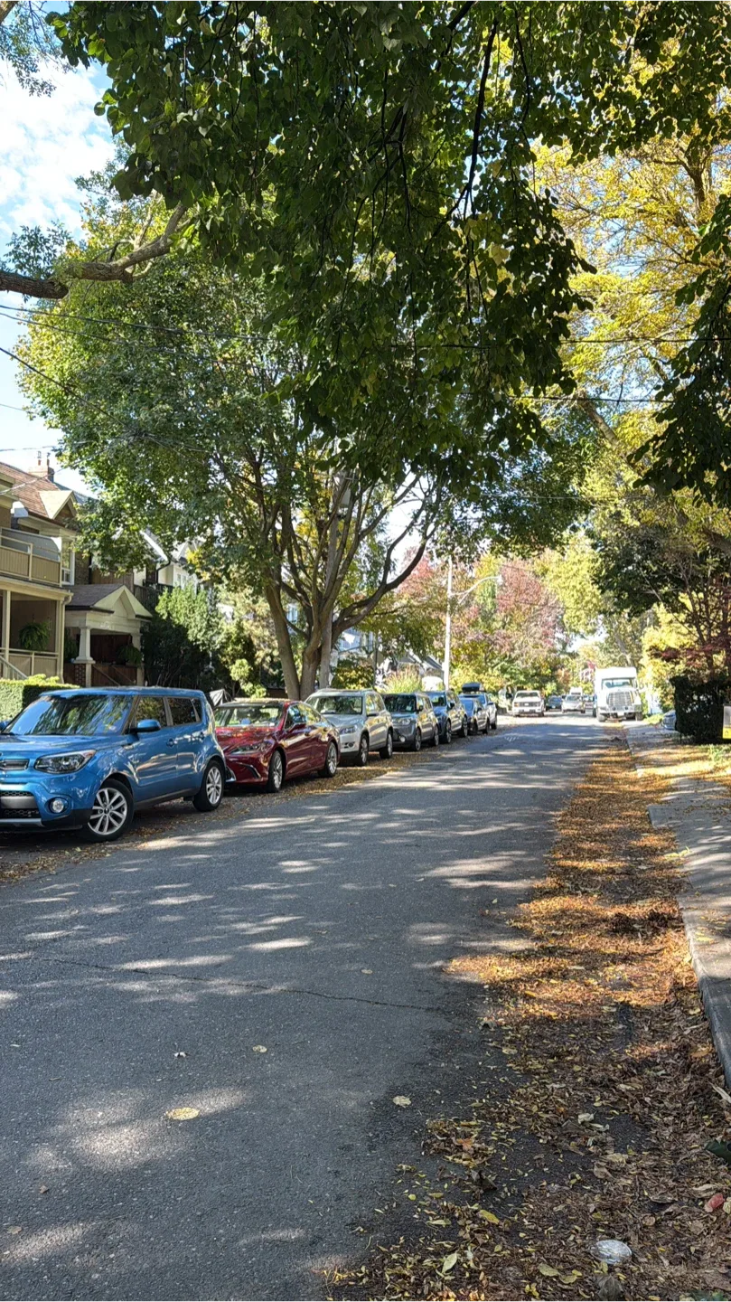 Looking for a nice yard cleanup? image indicator(7)