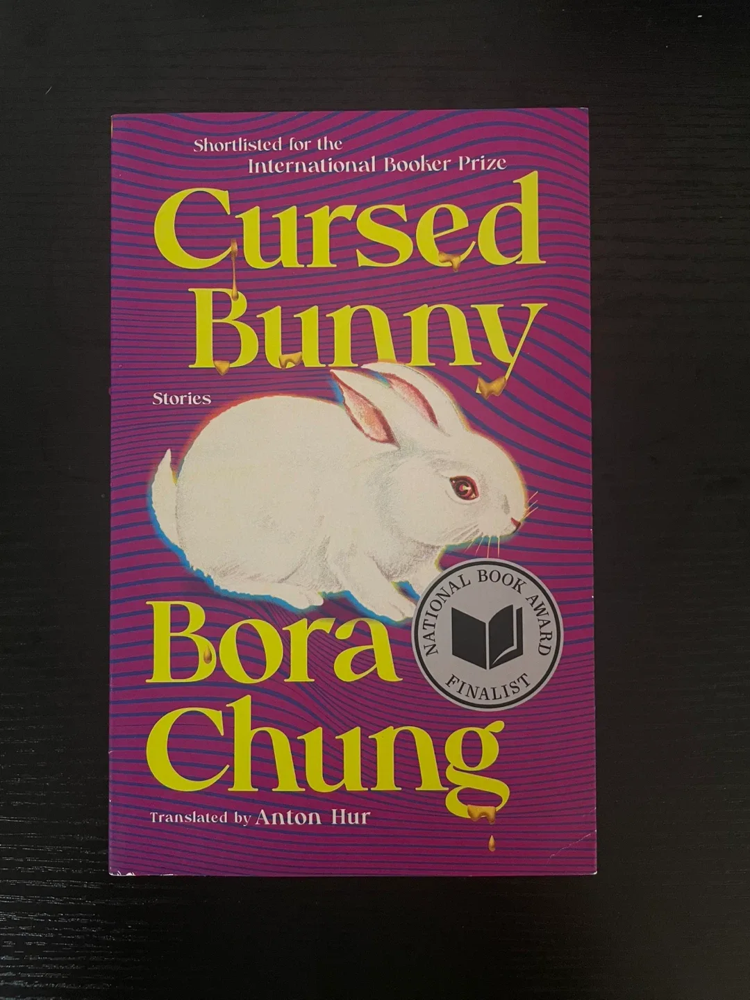 Cursed Bunny by Bora Chung thumbnail