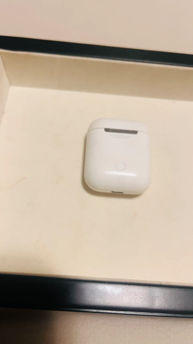 Apple AirPods Charging Case - photo 5