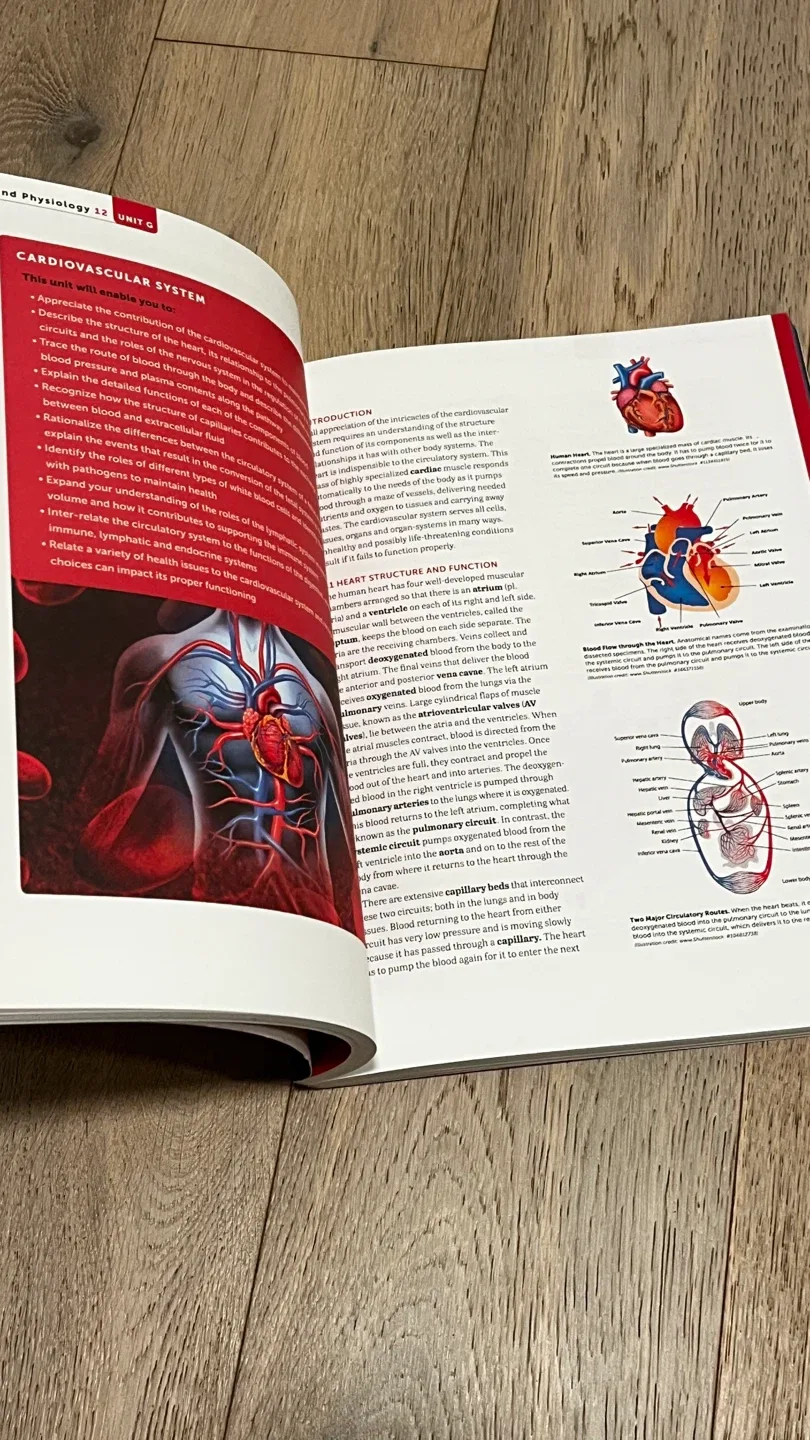 Anatomy & Physiology 12 Biology Study Guide image indicator(5)