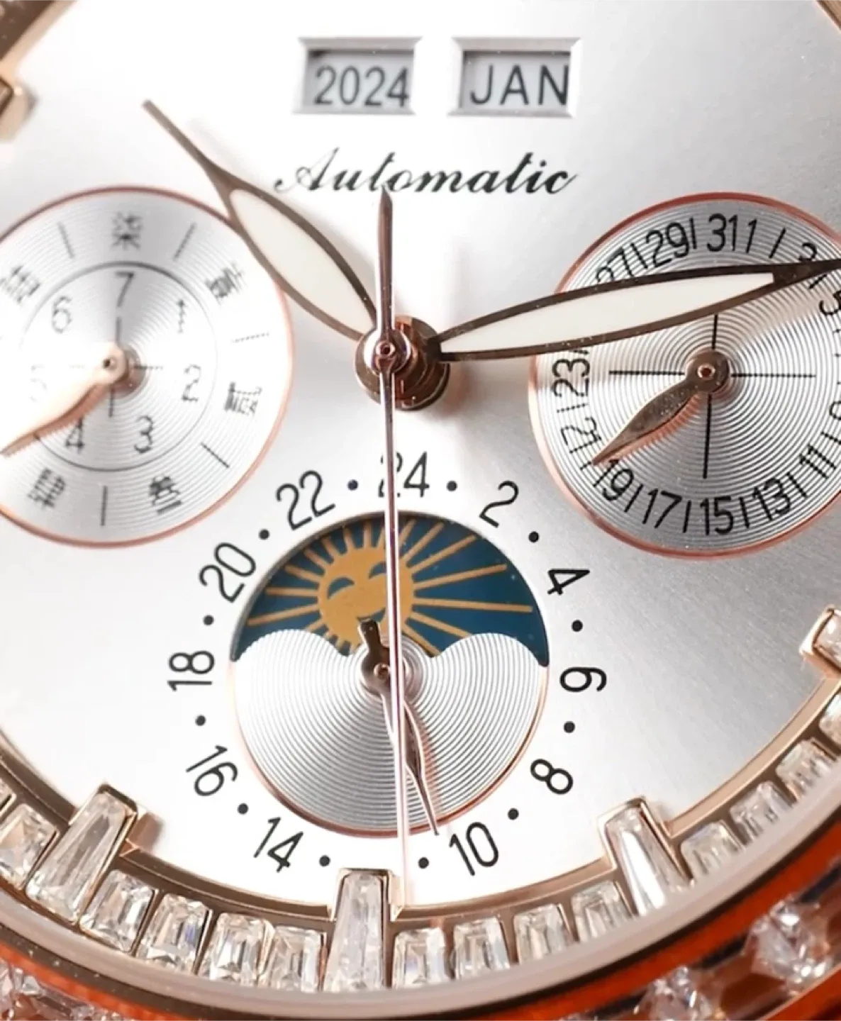 Reef Tiger Automatic Watch image indicator(3)