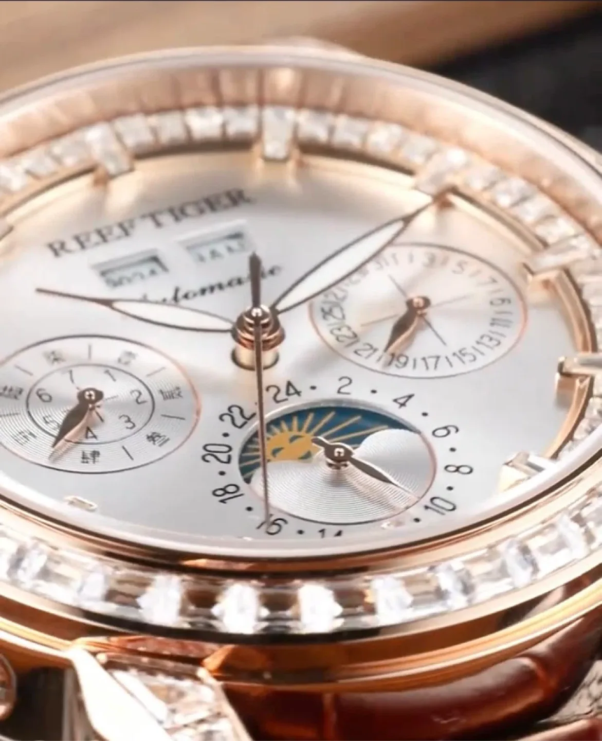 Reef Tiger Automatic Watch image indicator(4)