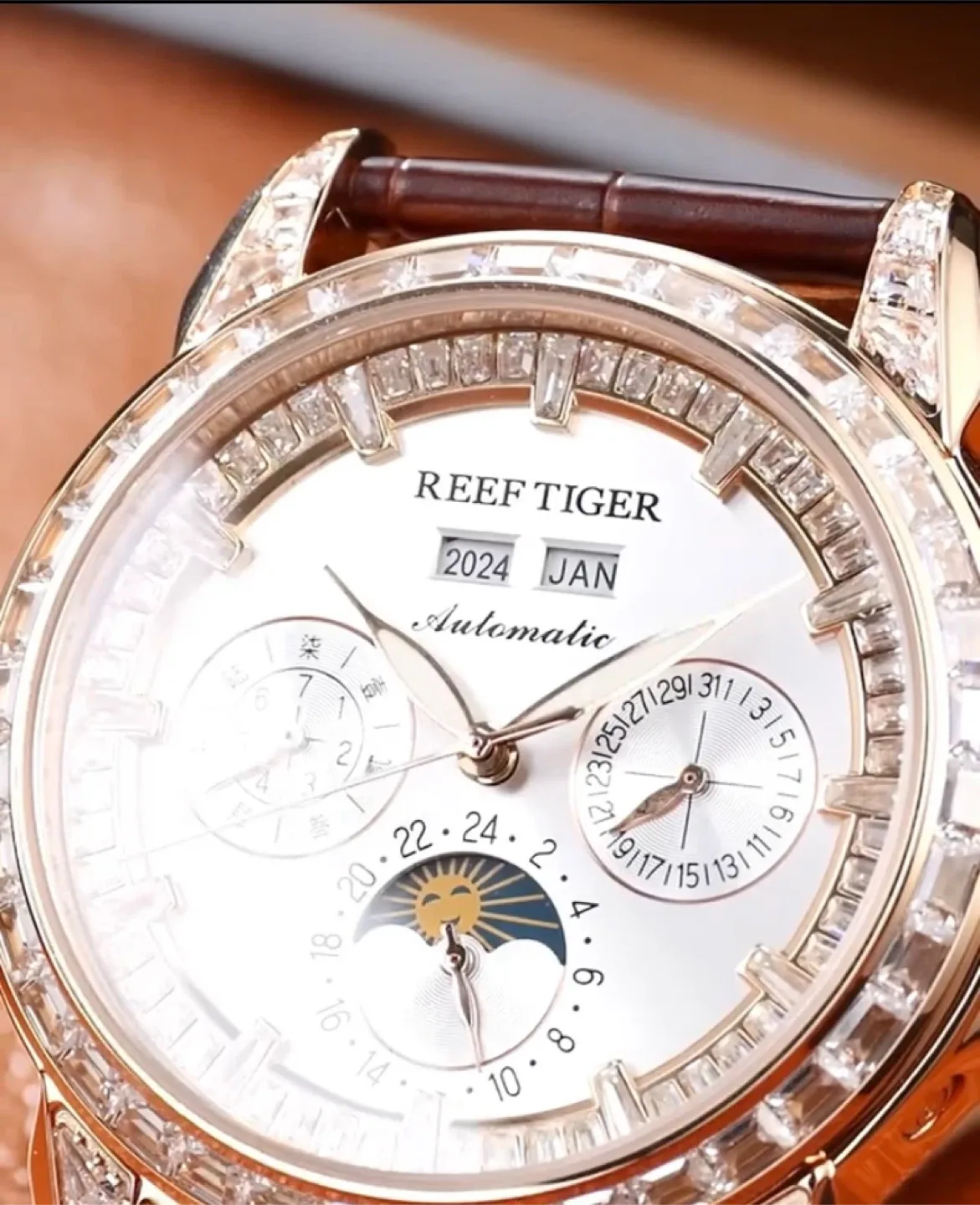 Reef Tiger Automatic Watch image indicator(2)