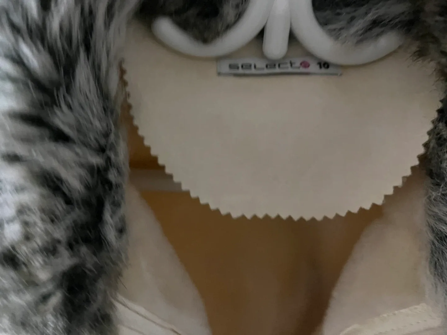 Select Faux Fur Trimmed Jacket - Size 10 image indicator(2)