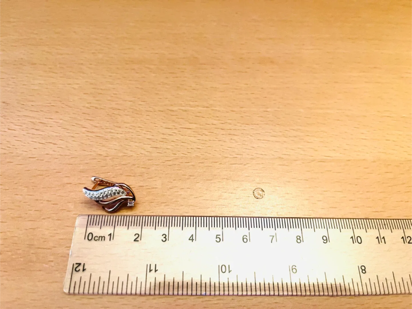 Elegant Rose Gold Earrings image indicator(3)