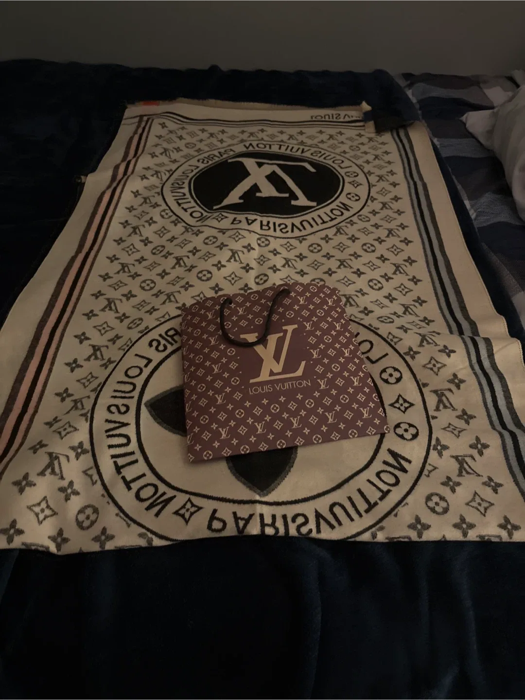 Louis Vuitton Shawl image indicator(4)