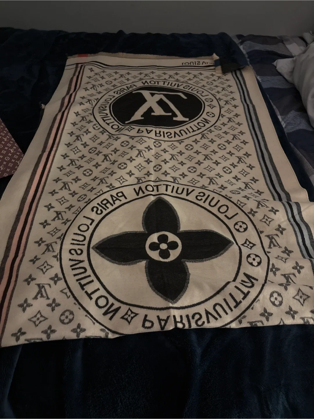 Louis Vuitton Shawl image indicator(3)