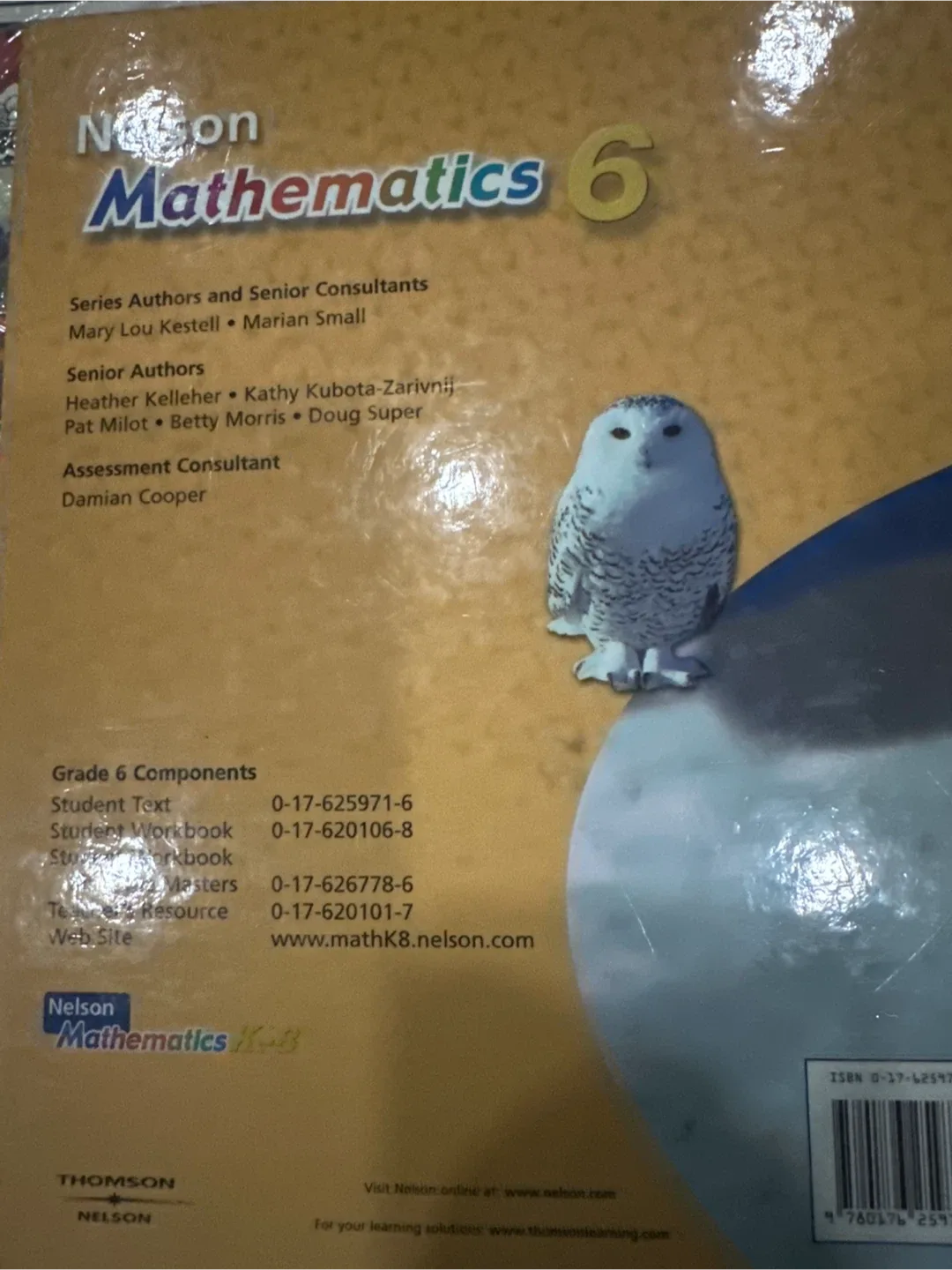 Nelson Mathematics 6 Textbook image indicator(2)