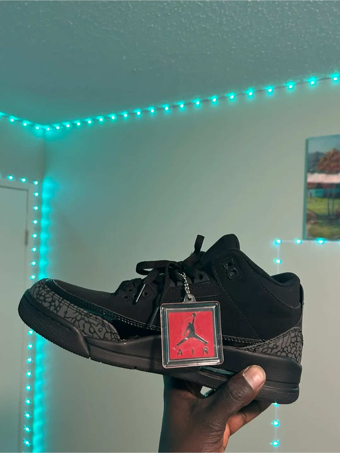 Nike Air Jordan 3 Retro Black Cat image indicator(3)