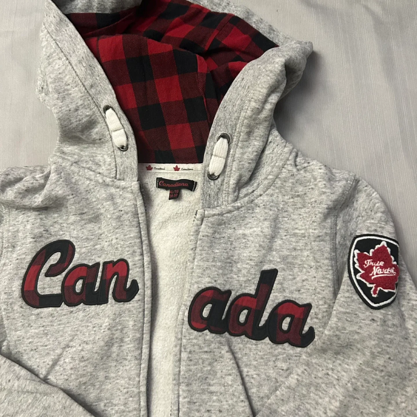 Grey Zip-Up Hoodie image indicator(2)