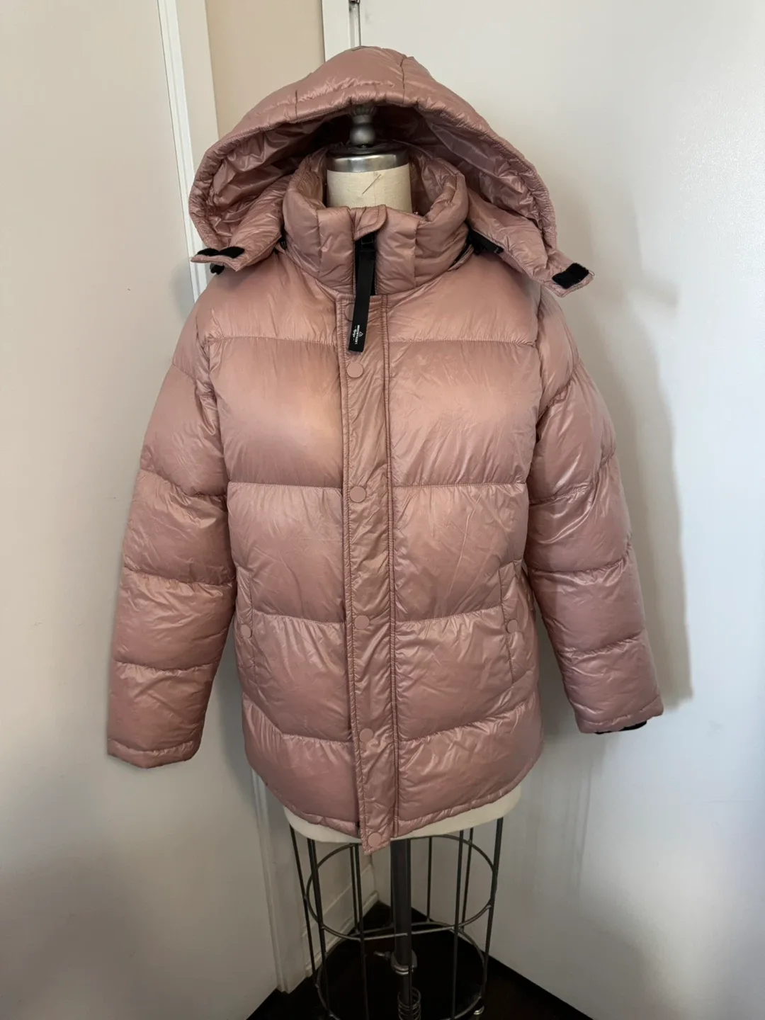 Beautiful Pink Mountain Ridge Ladies Size Large Winter jacket thumbnail
